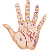 Palm Reader Expert